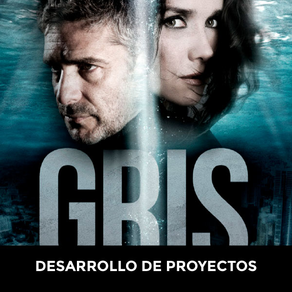 DESARROLLO-DE-PROYECTOS